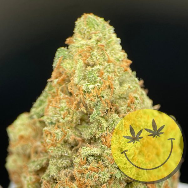 Amnesia Haze