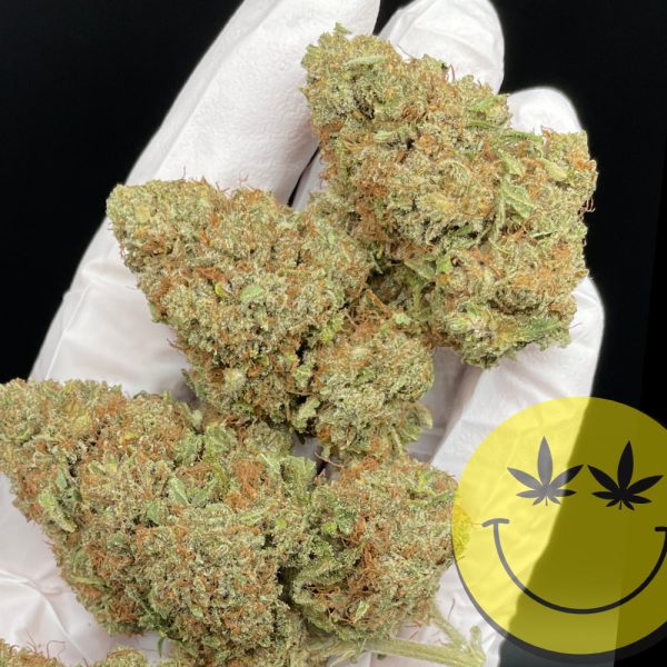 Apple Fritter