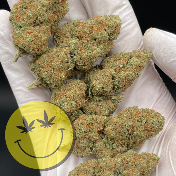 Girl Scout Cookies